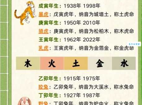 欲钱买媳妇是什么生肖？揭秘这个生肖的命运特点！