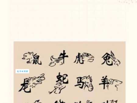 七尺男儿是什么生肖？别再猜错了，一篇说透它！