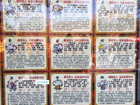 时间飞逝代表什么生肖？生肖专家给你最准确的解答