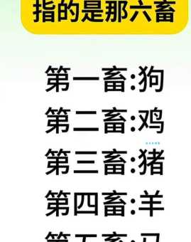六畜到来乐万家是什么生肖？马牛羊鸡狗猪都在其中！