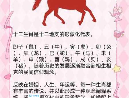 望子成龙打一生肖有什么玄机？看完这篇你就明白了！