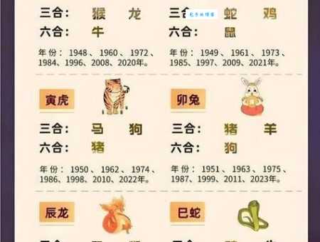 八拜之交打一个最佳生肖是什么？准确答案快速揭晓！