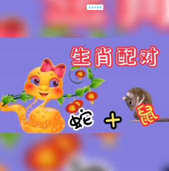 蛇鼠一窝是什么生肖?很多人都猜错的隐藏答案