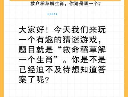 猜三长两短打一动物生肖是哪个?内行人教你快速看破!