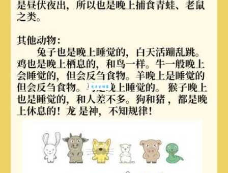 猜三长两短打一动物生肖是哪个？内行人教你快速看破！