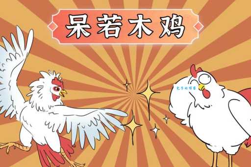 呆若木鸡是什么生肖？真正的原因竟然和古代斗鸡有关联