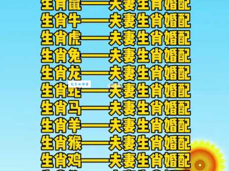 志同道合的生肖是什么？(看完这几个生肖配对就知道)