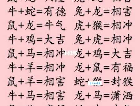 志同道合的生肖是什么?(看完这几个生肖配对就知道)