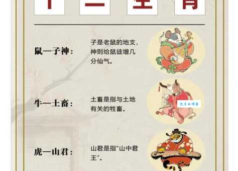 风餐露宿指什么生肖？别再猜错了！正确答案在这里！