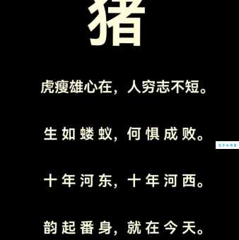 粗野汉子是什么生肖？老一辈人是这样说的！