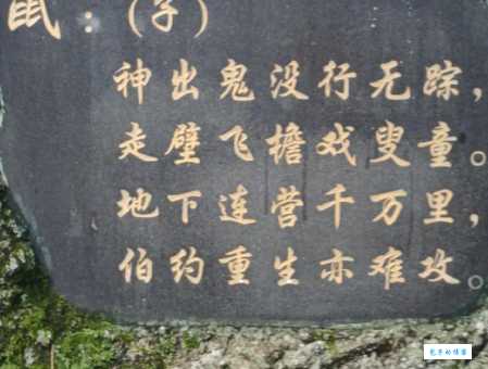 粗野汉子是什么生肖？老一辈人是这样说的！