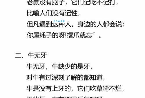 藕断丝连是什么生肖？正确答案揭晓给你看！