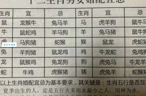 桃李争艳打一个生肖的正确答案是什么？看完这篇你就知道了！