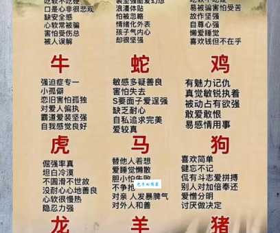 轻浪浮薄是什么生肖有什么含义？详细解释不容错过！