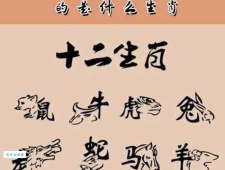 一下二下二只飞猜生肖是什么？最简单口语化解释来了！