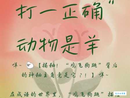 一下二下二只飞猜生肖是什么？最简单口语化解释来了！