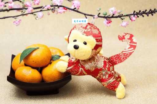 绝地反击打一生肖指的是什么？背后的深层含义大揭秘！