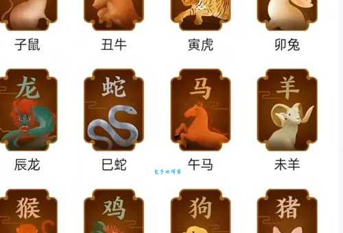 落地生根代表什么生肖？这几个常见的属相都靠谱吗？