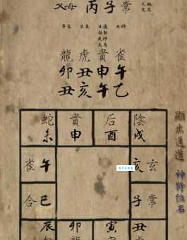 聚金成塔打一生肖的玄机在哪？资深人士深度分析！