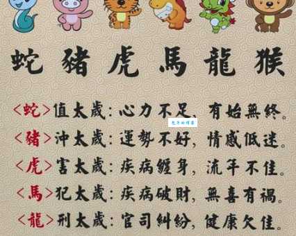 丝丝入扣隐藏了哪个生肖？马上告诉你！