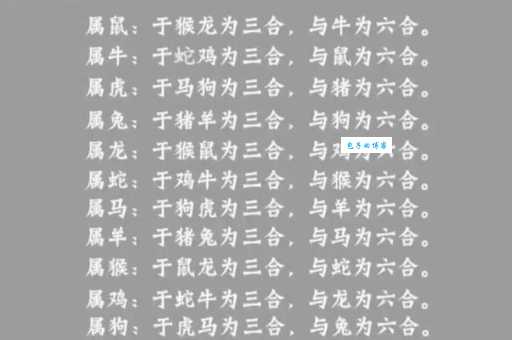 猪狗之辈打一生肖怎么解？一分钟看懂其中玄机！