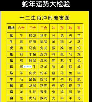 头撞南墙最佳生肖排行公布！你的生肖排第几？