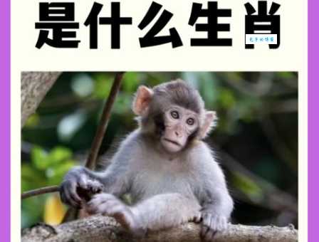 恸哭流涕指什么生肖？看看你是不是这个生肖！