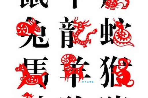 恸哭流涕指什么生肖？看看你是不是这个生肖！