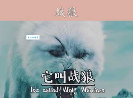 谁是真正的战无不胜的动物？看完这篇你就明白了！