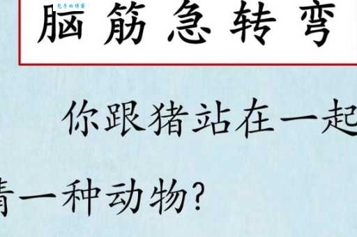 你知道惩前毖后打一动物的答案吗？快来揭晓！