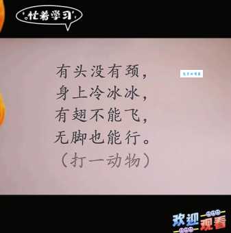 数九寒天打一动物，这个谜语太有趣了！