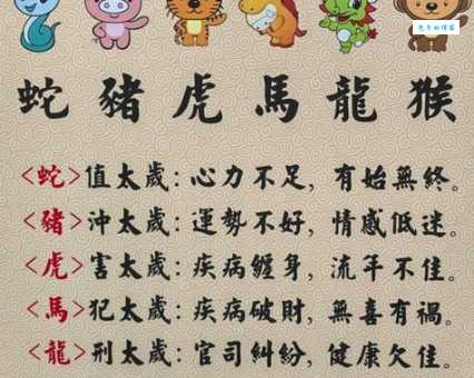 一本万利是什么生肖？揭秘背后的赚钱秘密！