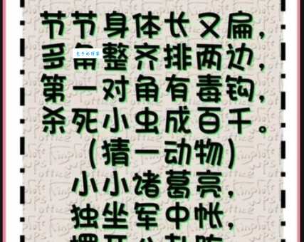 趁火打劫打一动物谜题，这答案你想到了吗？