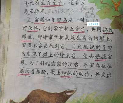 杀声四起是什么动物啊？原来答案就在我们身边！