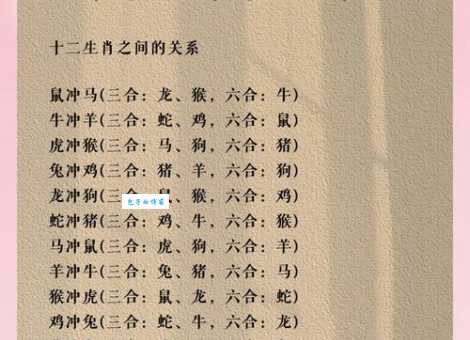 想知道三更到家是什么生肖吗？答案就在这里！
