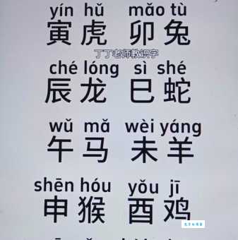 光阴似箭是什么生肖?原来只是个形容时间的词!