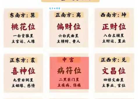 十五云开凤展翎是什么生肖？专家为你详细解读！