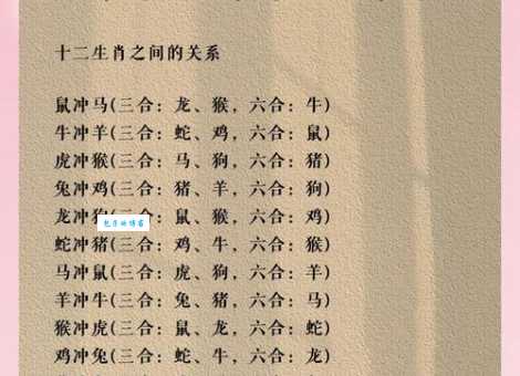 揭秘！无所不能是什么生肖？答案会让你惊讶！