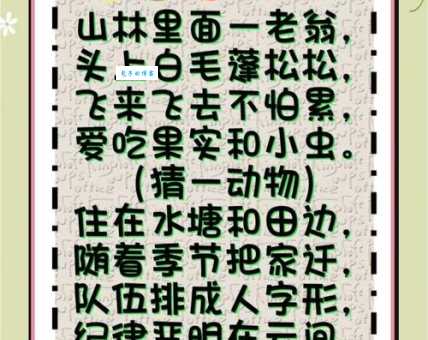 揭秘!无所不能是什么生肖?答案会让你惊讶!