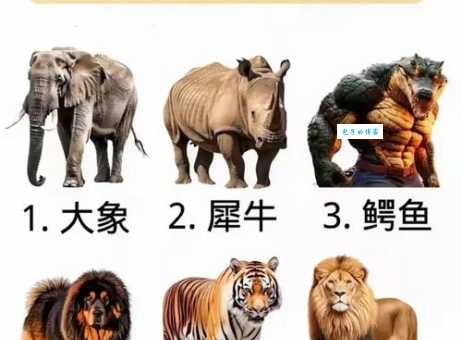 老八辈子打一动物是啥？答案揭晓让你大吃一惊！