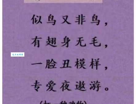 叽哩咕噜打一动物的谜底是什么？答案让你意想不到！