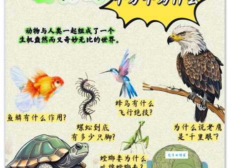 草长莺飞最佳动物到底是谁？读完这篇你就明白了。