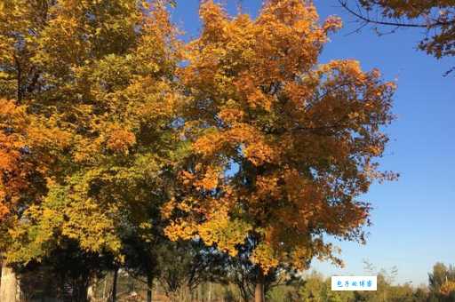 想知道秋肖是哪几肖？答案就在这里！