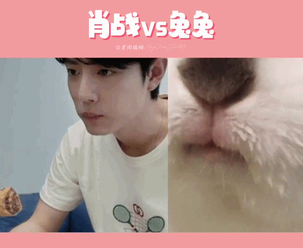 想知道秋肖是哪几肖？答案就在这里！