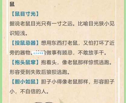 咫风四起是什么生肖？快来揭晓谜底吧！