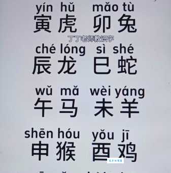 丢眉丢眼是什么生肖？快来看看你家有没有！