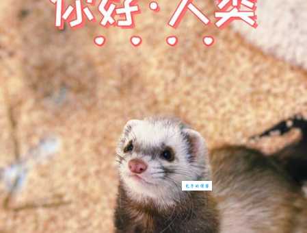 信口雌黄打一种动物的答案，别再说错了！