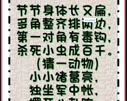 红颜薄命打一最佳动物，猜对的人很少！