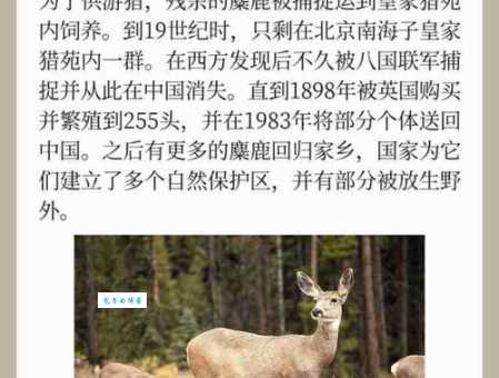 极目四望形容什么动物呢？看看哪些动物有这般气势。