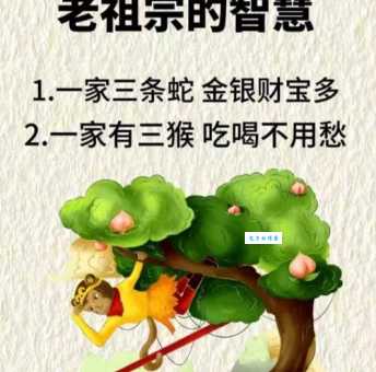 天下一家是什么生肖？别猜了，正确答案在这里！